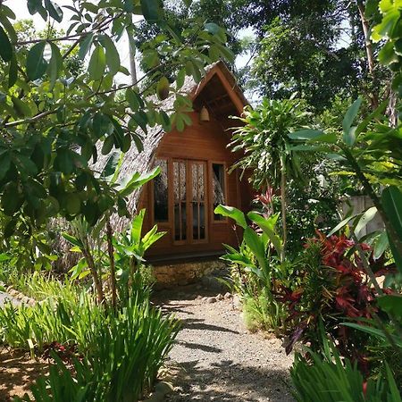 Coconut Tree Cottages Batukaras Ngoại thất bức ảnh