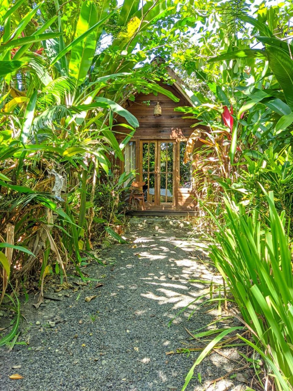 Coconut Tree Cottages Batukaras Ngoại thất bức ảnh