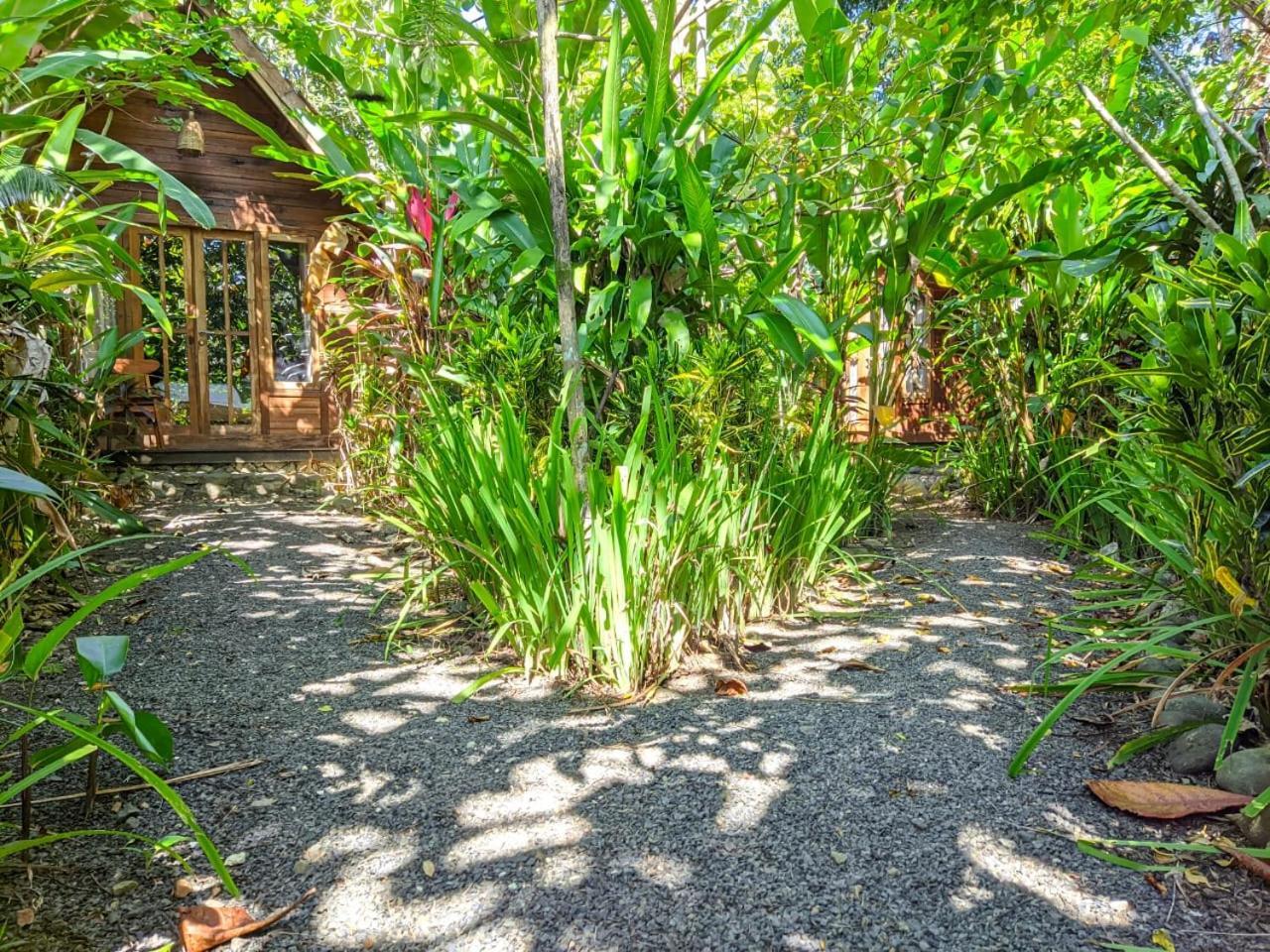 Coconut Tree Cottages Batukaras Ngoại thất bức ảnh